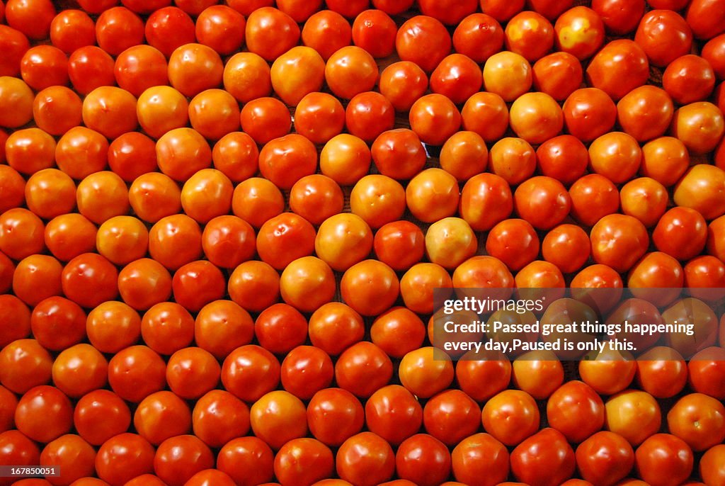 Tomatoes