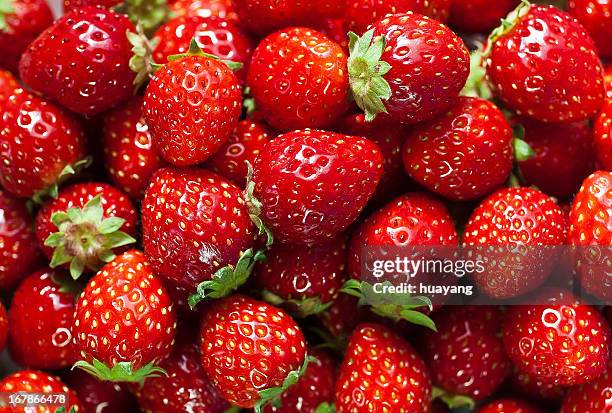 strawberry - frische stock-fotos und bilder