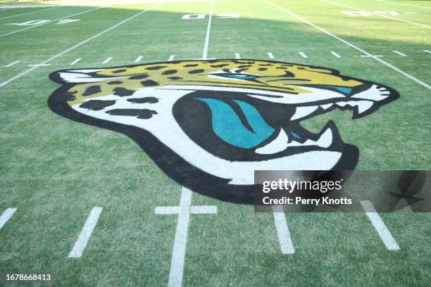 General view of the 50-yard line with the Jacksonville Jaguars logo on the field prior to an AFC Wild Card playoff game between the Jacksonville...