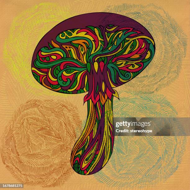 mushroom harvesting - foraging stock illustrations