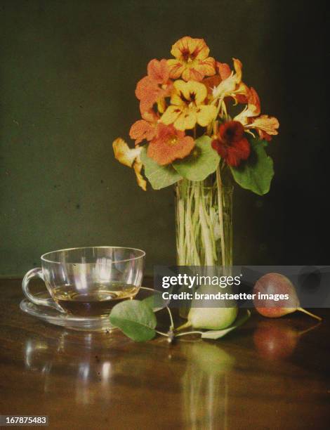 Stillife with Flowers, pears and Tea cup. Autochrome Lumière. Photograph probably by Franz Kaiser. About 1908. See also image 00621242. Stillleben...