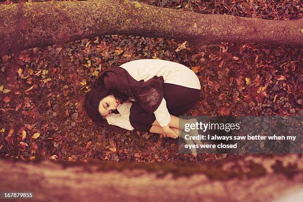 beautiful girl dreaming in a autumnal wood - position du foetus photos et images de collection
