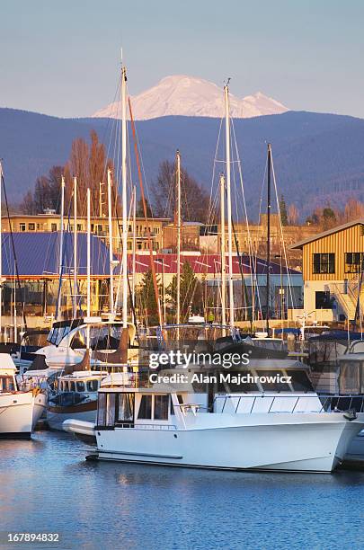 squalicum marina, bellingham bay washington - bellingham stockfoto's en -beelden