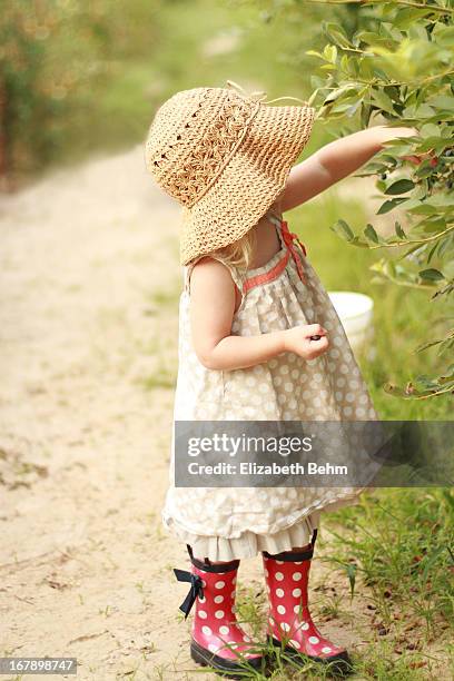 berry picking. - shreveport bildbanksfoton och bilder