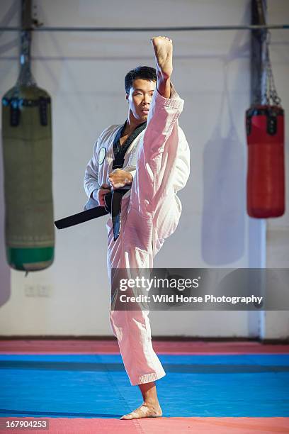 taekwondo high kicking - taekwondo fotografías e imágenes de stock