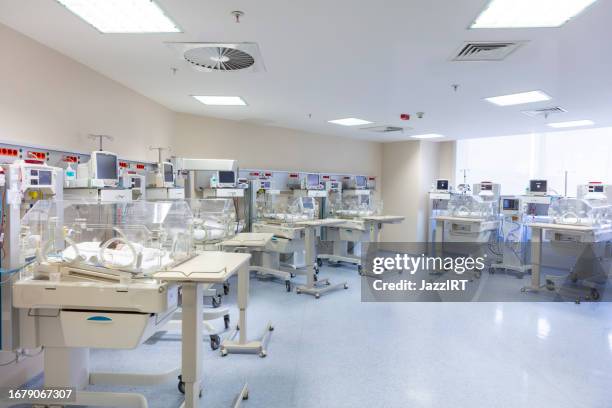 bebés y enfermera en una unidad especial de cuidado de bebés. - unidad de cuidados intensivos neonatales fotografías e imágenes de stock