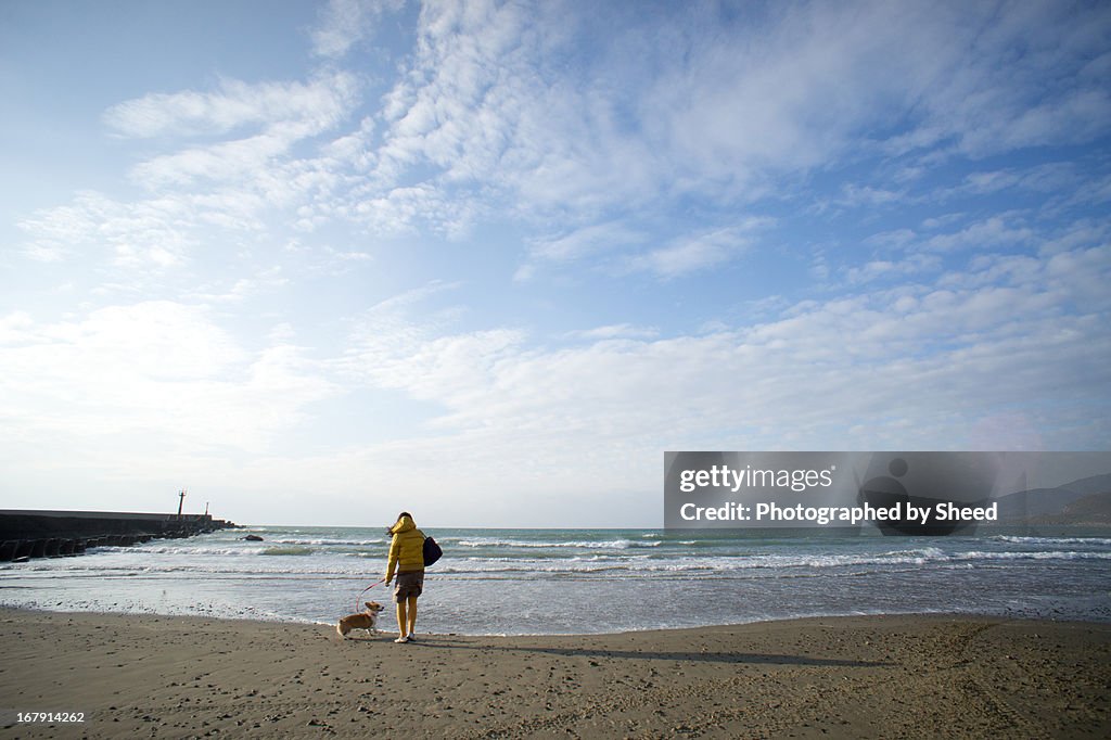 Travel with a dog