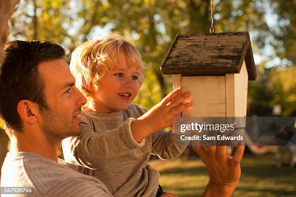 vater und sohn betrachten vogelhäuschen - bird feeder stock-fotos und bilder