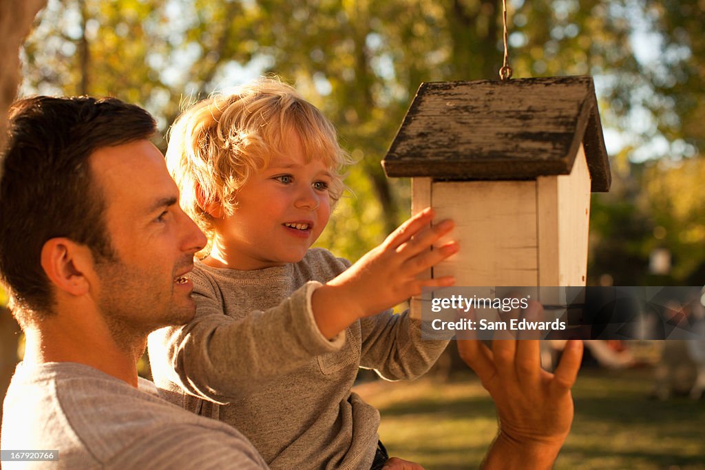 Father and son examining birdhouse