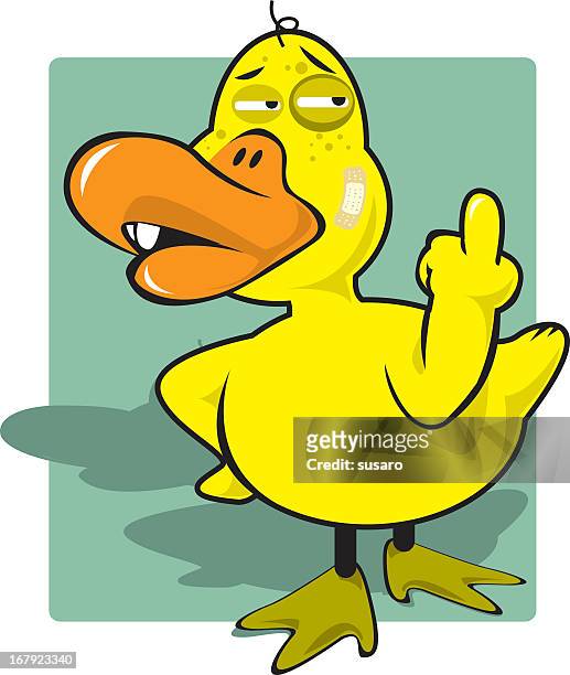 graphic of injured duck sticking up its middle finger - ugly cartoon characters stock illustrations