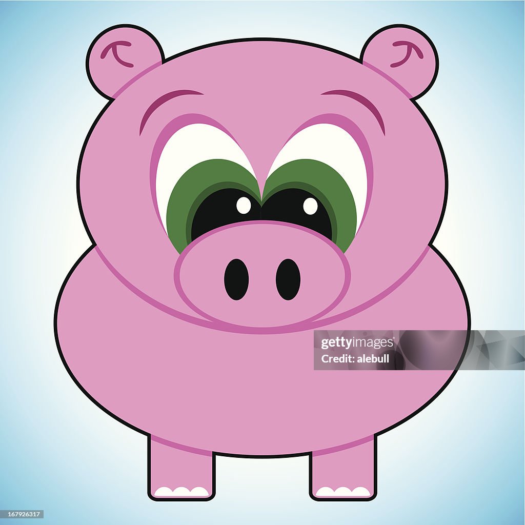 Pig