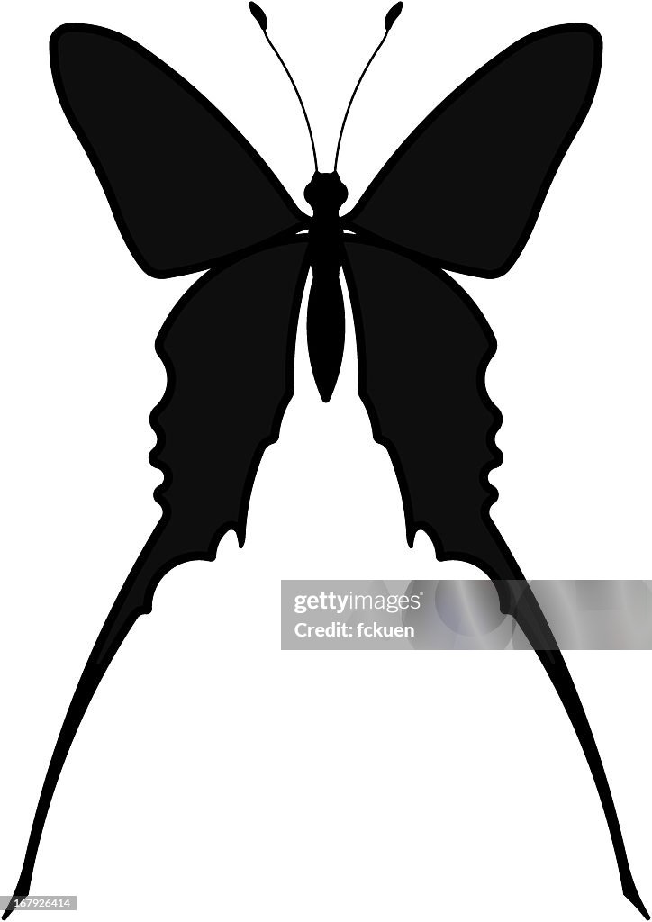 Butterfly silhouette