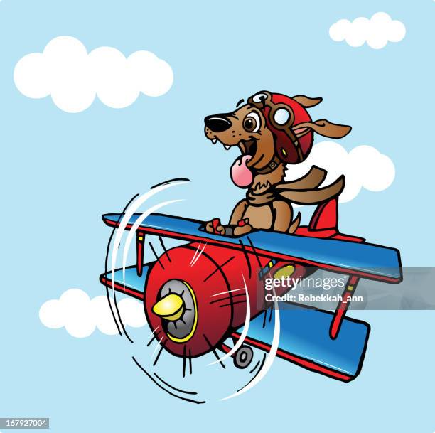 dog pilot - dog plane stock illustrations