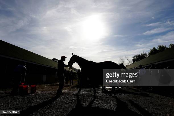 Orb is washed following a morning training session in preparation for the 2013 Kentucky Derby at Churchill Downs on May 2, 2013 in Louisville,...