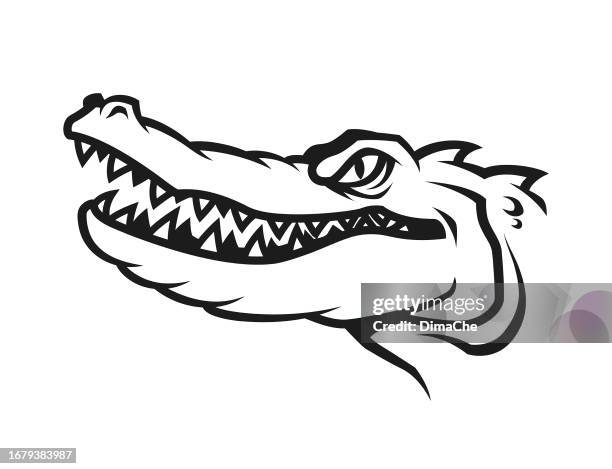 stockillustraties, clipart, cartoons en iconen met alligator head silhouette. gator crocodile cut out outline vector icon - flasche