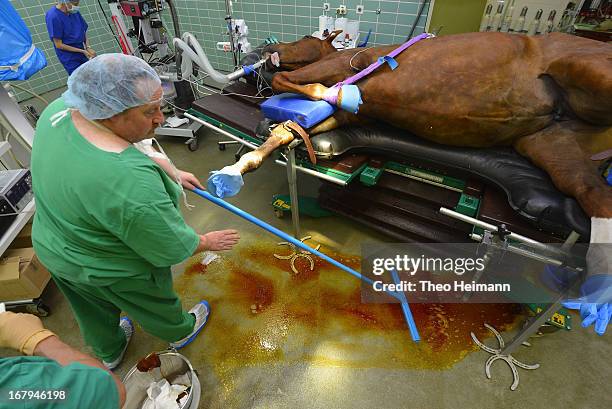 Veterinary technician sweeps away disenfectant as he prepares a horse for surgery on a fractured leg at the Dueppel animal clinic on April 25, 2013...