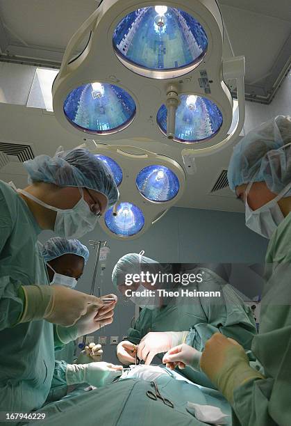 Veterinary surgeon Leo Brunnberg operates on a terrier whose owner had brought it all the way from Frankfurt am Main at the Dueppel animal clinic on...