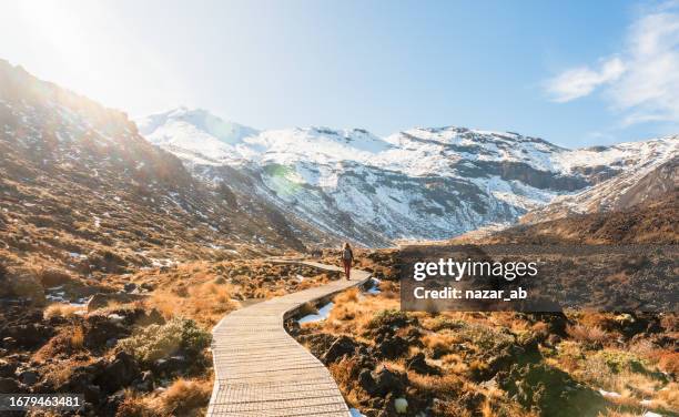 tongariro national park trail. - tongariro crossing stock pictures, royalty-free photos & images