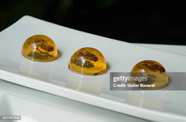 Dish 'Inclusion de grillons en bubble au Whisky' - 'Crickets caught in a whisky jelly bubble' is displayed on May 2, 2013 in Nice, France. Crickets...