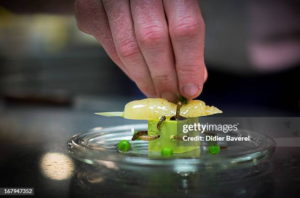 Starter dish of 'Petit pois carre et son ecume de Carottes, vers de farine' - peas, carrots and worms- is prepared by French chef David Faure in his...