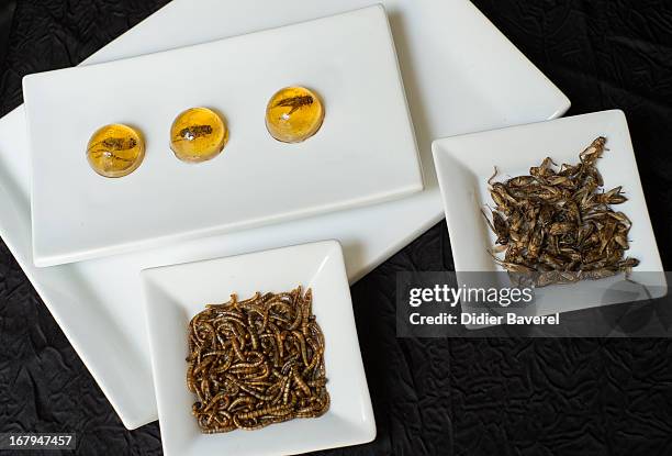 Dishes of worms and crickets are displayed in front of 'Inclusion de grillons en bubble au Whisky' - 'Crickets caught in a whisky jelly bubble' in...