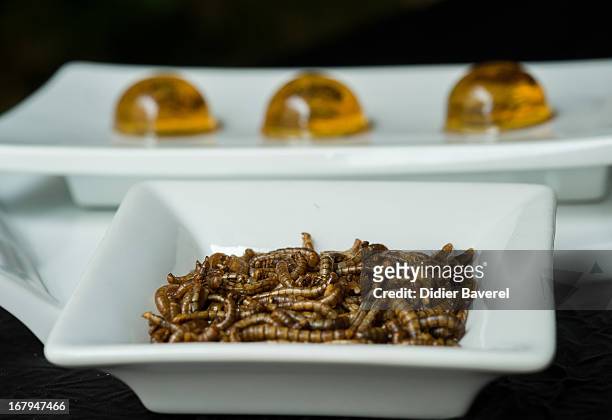 Dish of worms is displayed in front of 'Inclusion de grillons en bubble au Whisky' - 'Crickets caught in a whisky jelly bubble' in the restaurant...