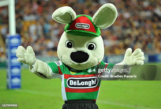 19 Reggie The Rabbit Fotos und hochauflösende Bilder - Getty Images