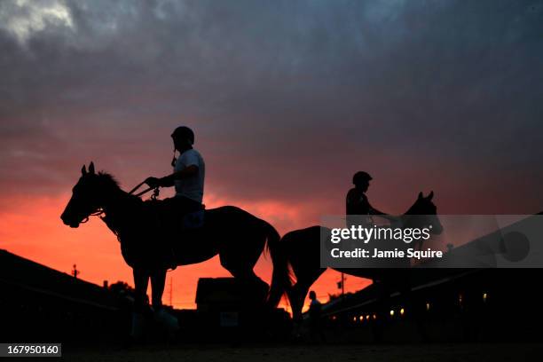 Horses walk in the stable as the sun rises during morning workouts for the 2013 Kentucky Derby at Churchill Downs on May 3, 2013 in Louisville,...
