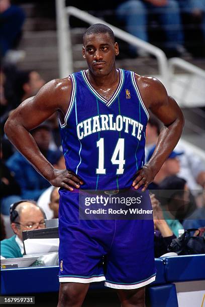 Anthony Mason of the Charlotte Hornets looks on against the Golden State Warriors during a game played on January 6, 1997 at the San Jose Arena in...