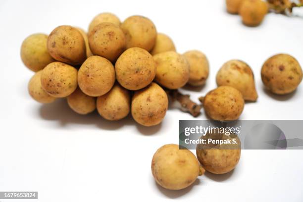 long kong langsat fruit on white background duku meliaceae lansium parasiticum (osbeck) k.c.sahni & bennet aglaia domestica - meliaceae stock pictures, royalty-free photos & images