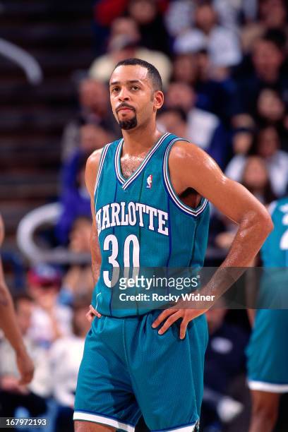 350 Dell Curry Hornets Photos and Premium High Res Pictures - Getty Images