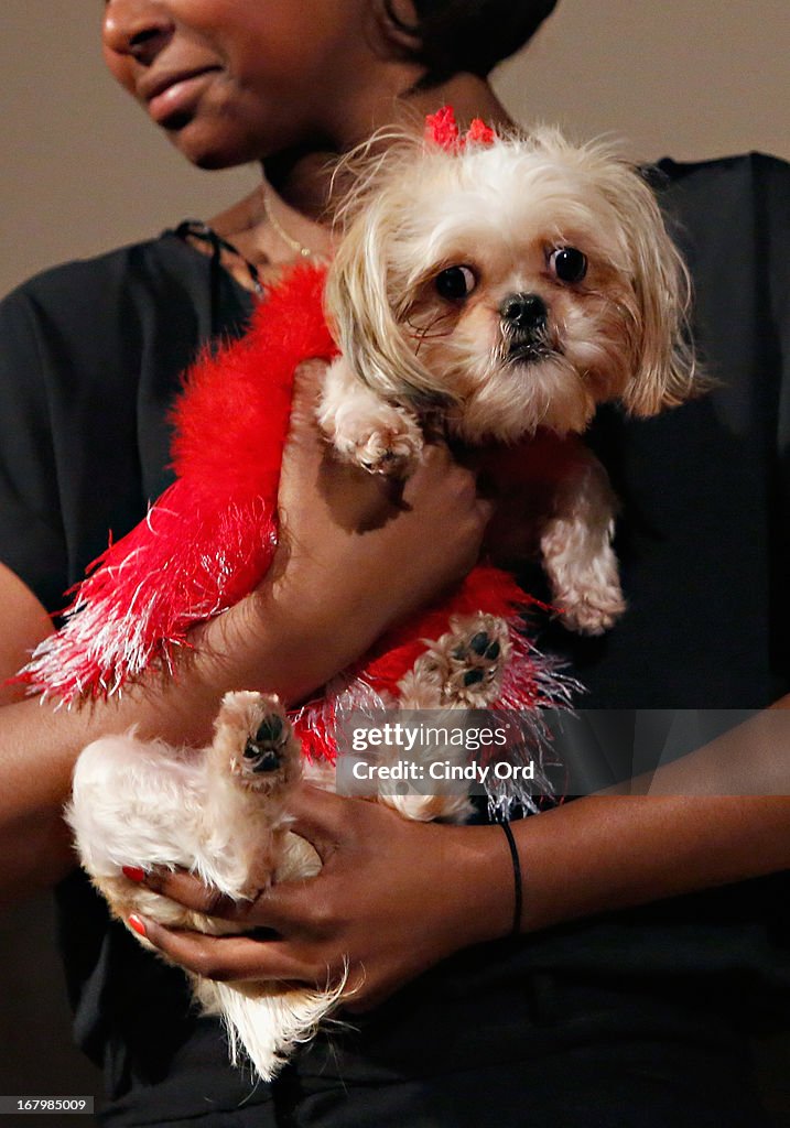 FIT's Fifth Annual Pet Apparel and Accessories Fashion Show