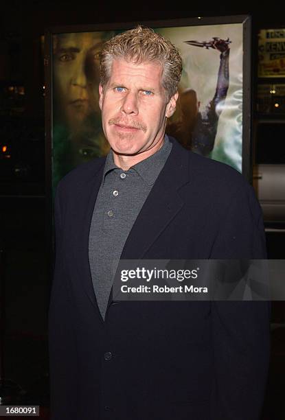 Actor Ron Perlman attends the premiere of "Star Trek Nemesis" attends the premiere of "Star Trek Nemesis" at Grauman's Chinese Theatre on December 9,...