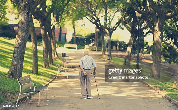 solitude - walking stick photos et images de collection