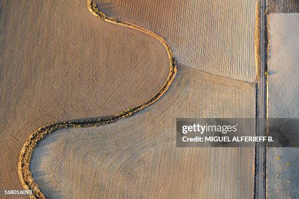 Snake Path High-Res Stock Photo - Getty Images