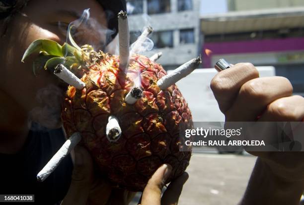 Man smokes marijuana cigars in a pineapple during a march for its decriminalization in Medellin, Antioquia department, Colombia on May 4 in the...