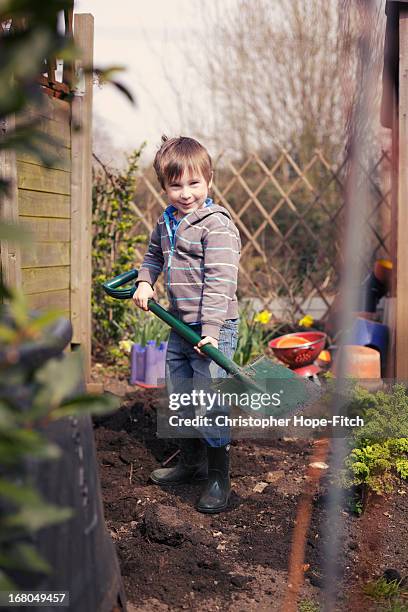 spring gardening - digging bildbanksfoton och bilder
