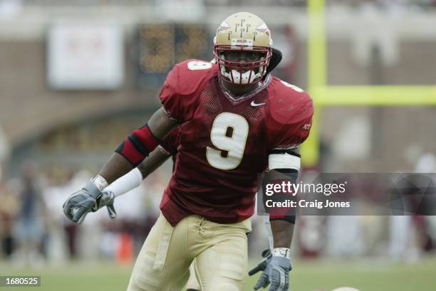 Linebacker Kendyll Pope celebrates stopping Notre Dame offense during the NCAA football game at Doak Campbell Stadium on October 26, 2002 in...