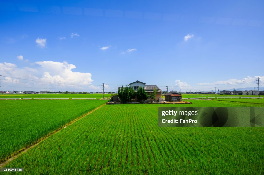 Green farmland and countryside scenery in Kyushu, Japan