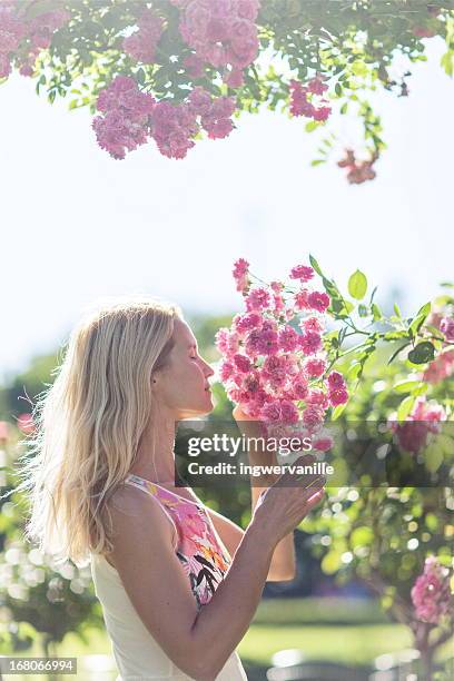 woman in rose garden - roseto foto e immagini stock
