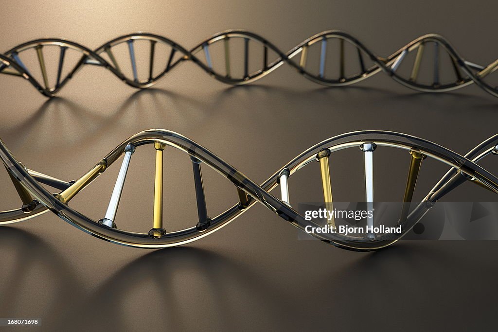 DNA Helix