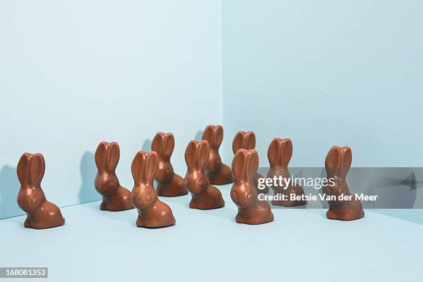 group of easter bunnies. - osterhase schokolade stock-fotos und bilder