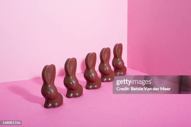 chocolate bunnies placed in a line. - chocolate bunny stock pictures, royalty-free photos & images