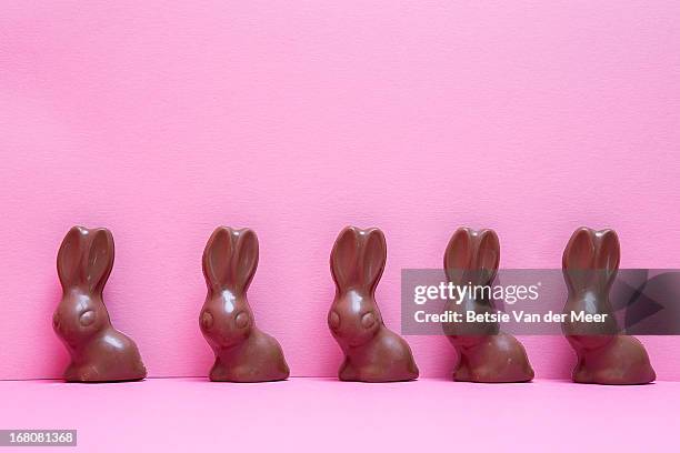 chocolate bunnies in a row on pink background. - osterhase schokolade stock-fotos und bilder