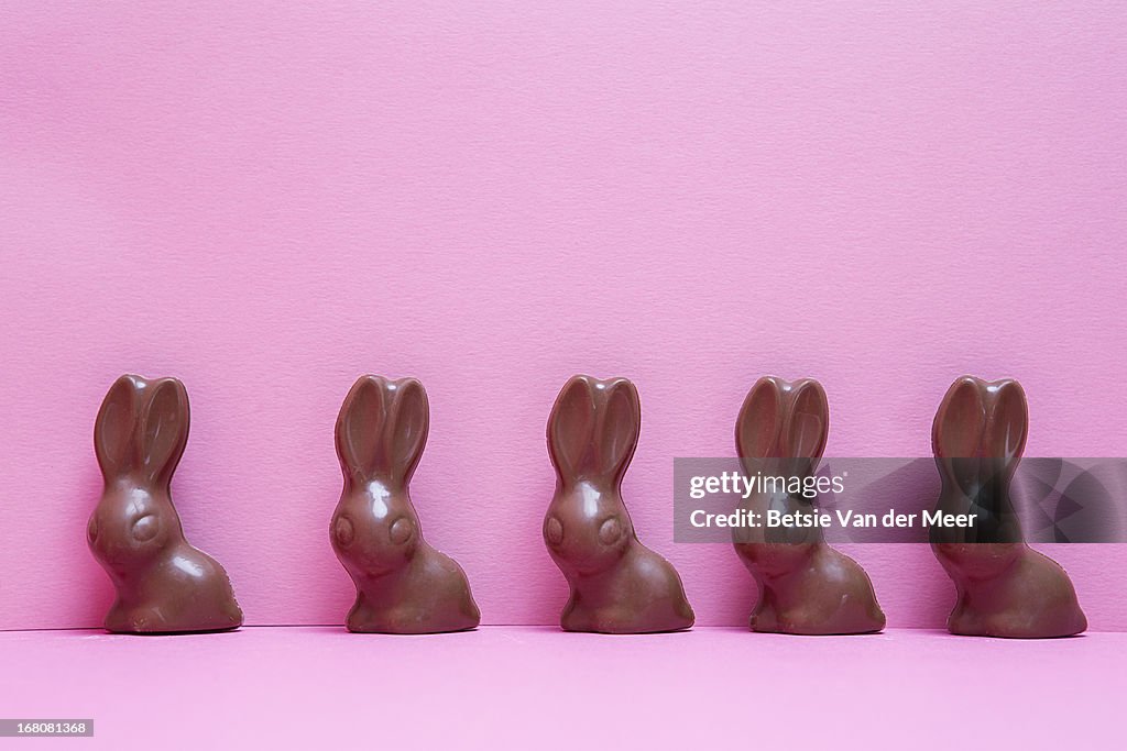 Chocolate bunnies in a row on pink background.