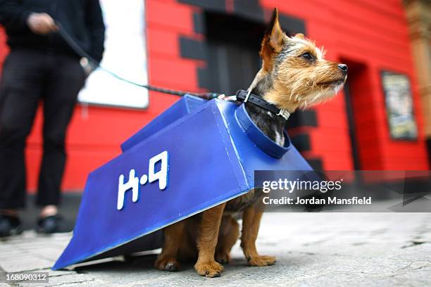 Missy, a Chorkie is dressed up as the character K-9 from the film and TV series Doctor Who on May 5, 2013 in London, England. Enthusiasts gathered at...