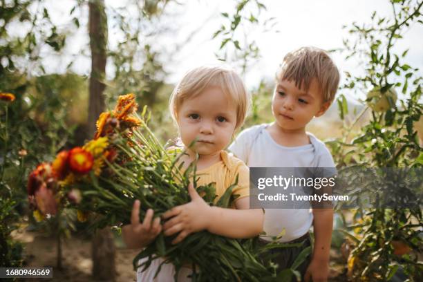 kinder helfen ihrer großmutter im garten voller blumen - geschwister stock-fotos und bilder