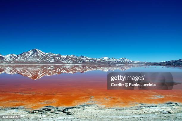 Laguna Colorada at morning