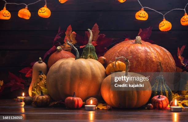 autumn pumpkin holiday background - halloween stockfoto's en -beelden