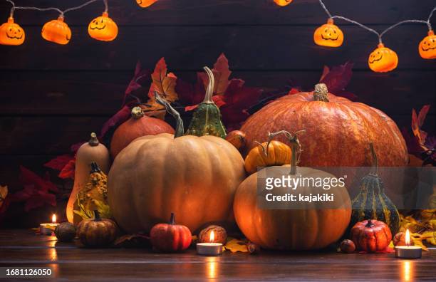 autumn pumpkin holiday background - oktober stock pictures, royalty-free photos & images